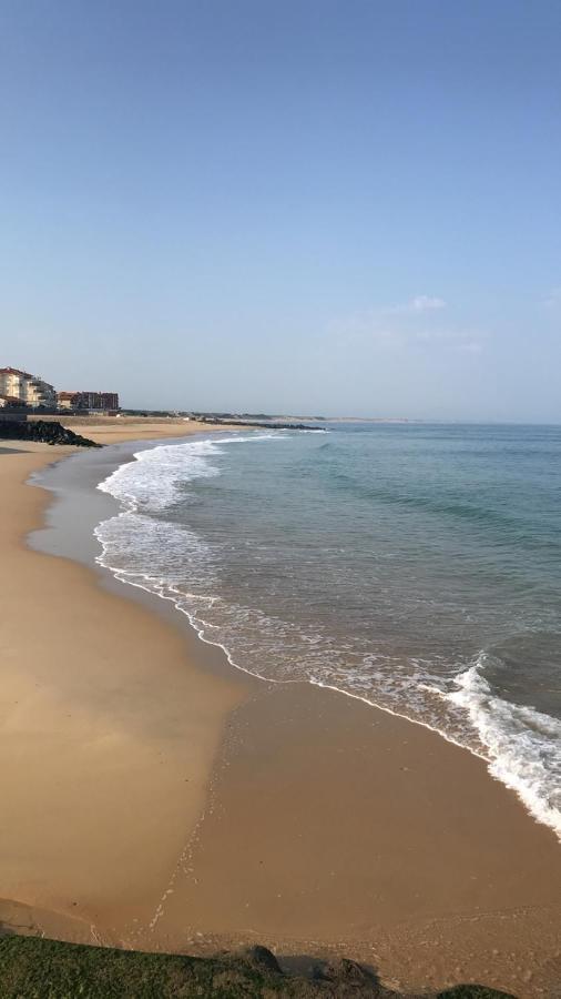Atlantic Selection - Le Studio 48 Capbreton Εξωτερικό φωτογραφία